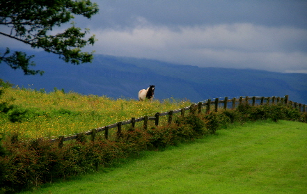 Bilder Irland Fotos Impressionen