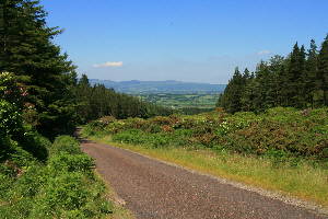 Bild Stra�e Irland