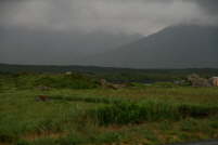 Connemara