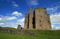 Trim Castle